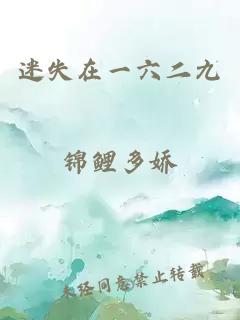 迷失在一六二九