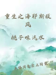 重生之海耶斯旋风