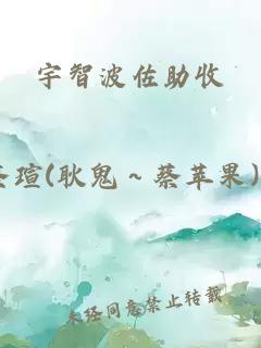 宇智波佐助收