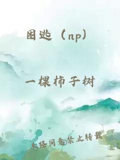 困逃（np）