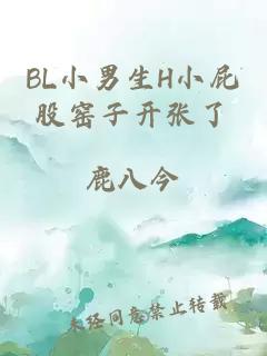 BL小男生H小屁股窑子开张了